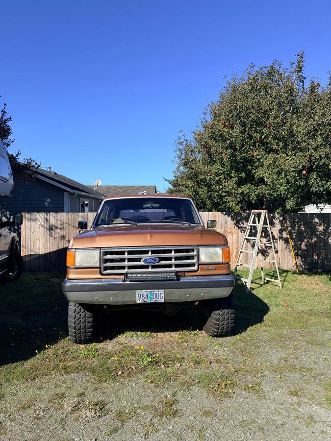 Ford-bronco-1989-brown-1