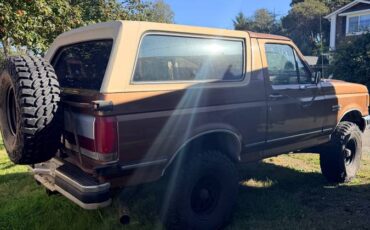 Ford-bronco-1989-brown-3