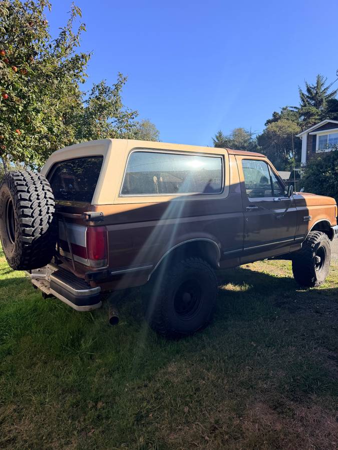 Ford-bronco-1989-brown-3