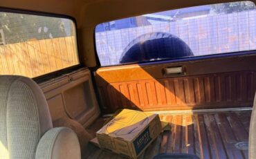 Ford-bronco-1989-brown