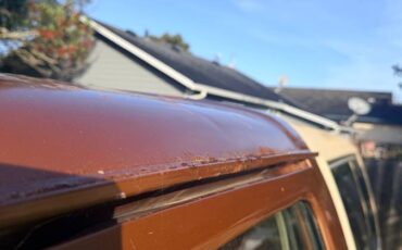 Ford-bronco-1989-brown-4