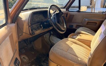 Ford-bronco-1989-brown-6