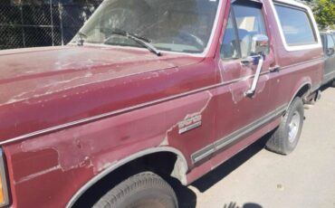 Ford-bronco-1991-brown-1