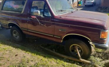Ford-bronco-1991-brown-2