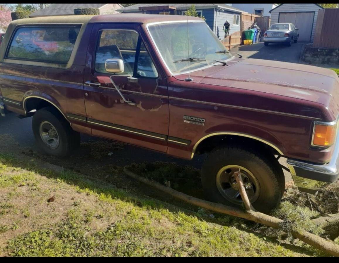Ford-bronco-1991-brown-2