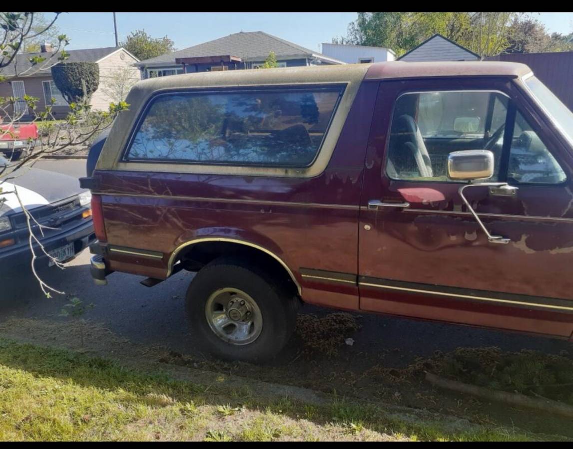 Ford-bronco-1991-brown-3