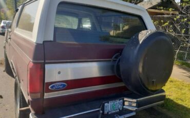 Ford-bronco-1991-brown-4