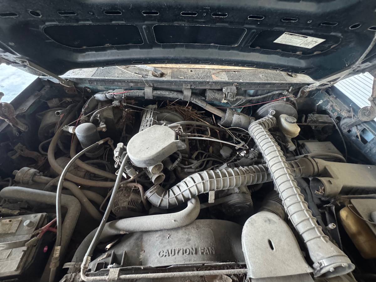 Ford-bronco-1993-green-3