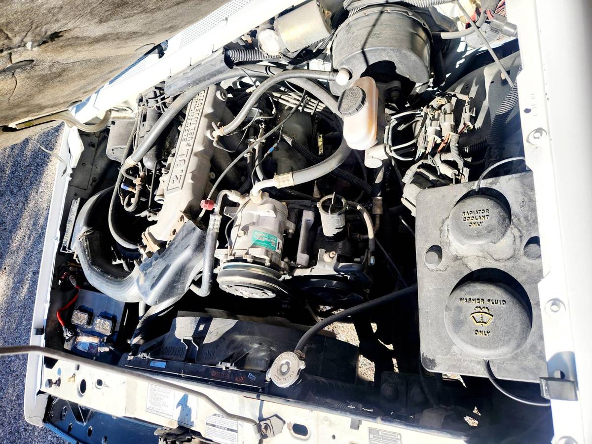 Ford-bronco-ii-1989-white-6