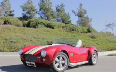 Ford-cobra-replica-custom-1965-custom-1