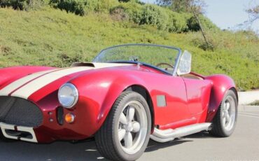 Ford-cobra-replica-custom-1965-custom-10