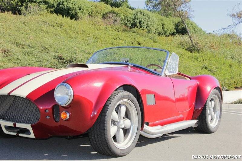 Ford-cobra-replica-custom-1965-custom-10