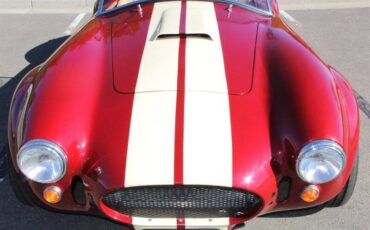 Ford-cobra-replica-custom-1965-custom-11