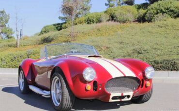 Ford-cobra-replica-custom-1965-custom-12