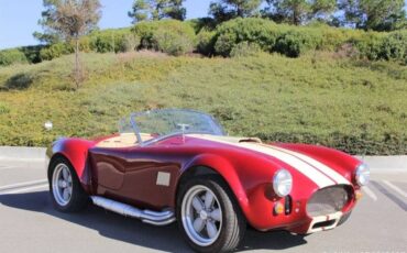 Ford-cobra-replica-custom-1965-custom-13