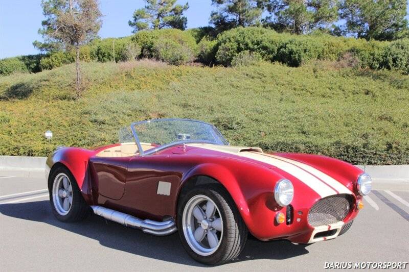 Ford-cobra-replica-custom-1965-custom-13