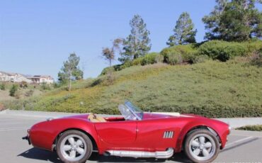 Ford-cobra-replica-custom-1965-custom-14