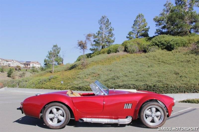 Ford-cobra-replica-custom-1965-custom-14