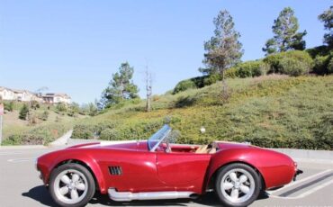 Ford-cobra-replica-custom-1965-custom-15
