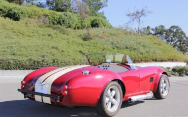 Ford-cobra-replica-custom-1965-custom-16