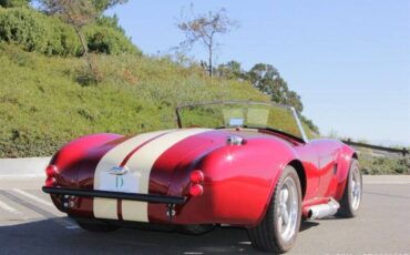 Ford-cobra-replica-custom-1965-custom-17