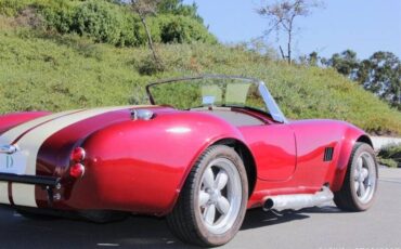 Ford-cobra-replica-custom-1965-custom-18