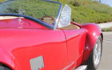 Ford-cobra-replica-custom-1965-custom-19