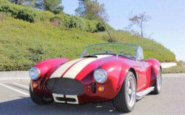 Ford-cobra-replica-custom-1965-custom-2