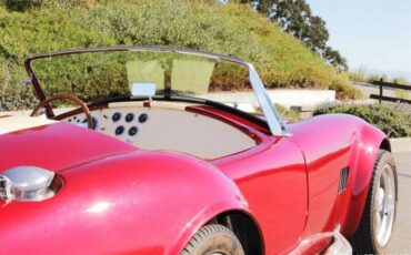 Ford-cobra-replica-custom-1965-custom-20