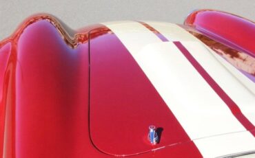 Ford-cobra-replica-custom-1965-custom-21