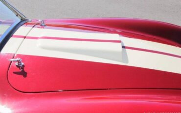 Ford-cobra-replica-custom-1965-custom-22