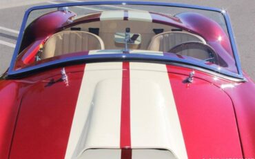 Ford-cobra-replica-custom-1965-custom-23