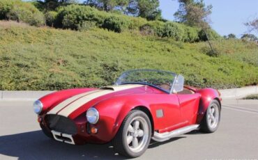 Ford-cobra-replica-custom-1965-custom
