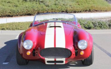 Ford-cobra-replica-custom-1965-custom-5