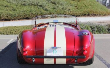Ford-cobra-replica-custom-1965-custom-6