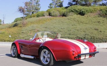 Ford-cobra-replica-custom-1965-custom-8