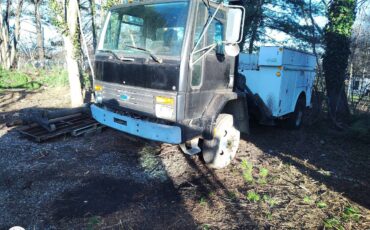 Ford-diesel-1996-black-2