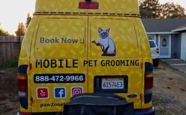 Ford-e-350-econoline-1993-white-1