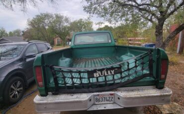 Ford-f-150-1978-green-3