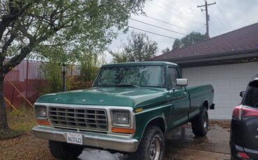 Ford-f-150-1978-green