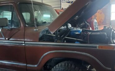 Ford-f-150-1979-brown-1