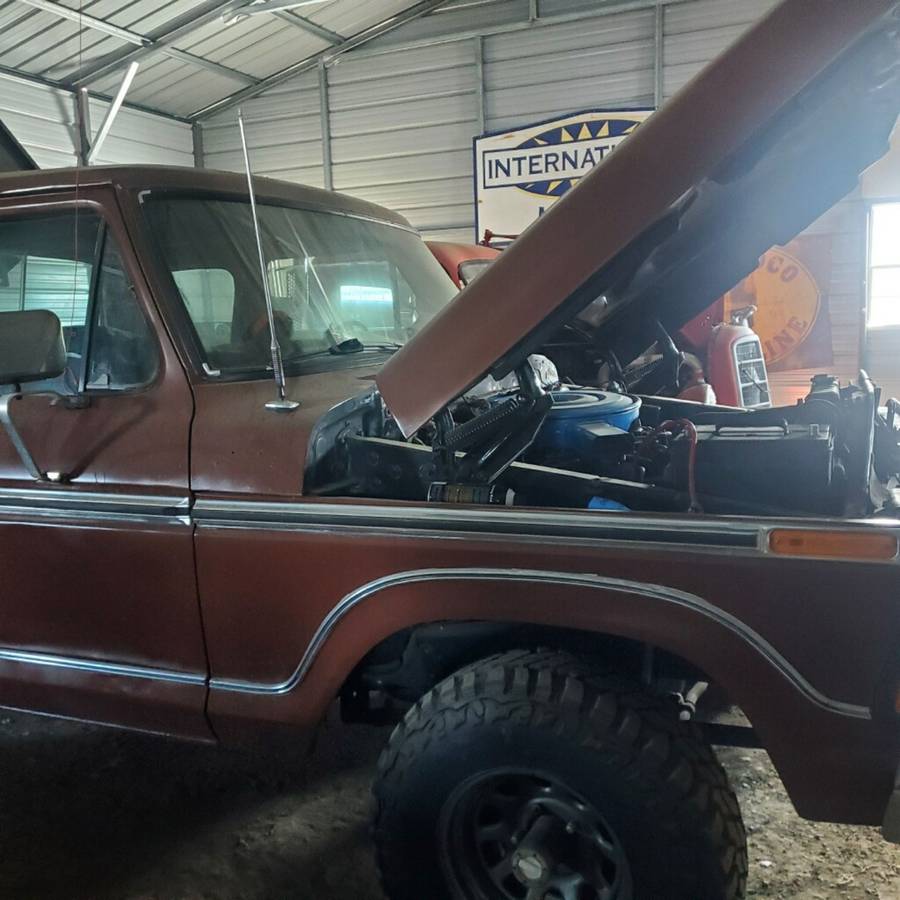 Ford-f-150-1979-brown-1