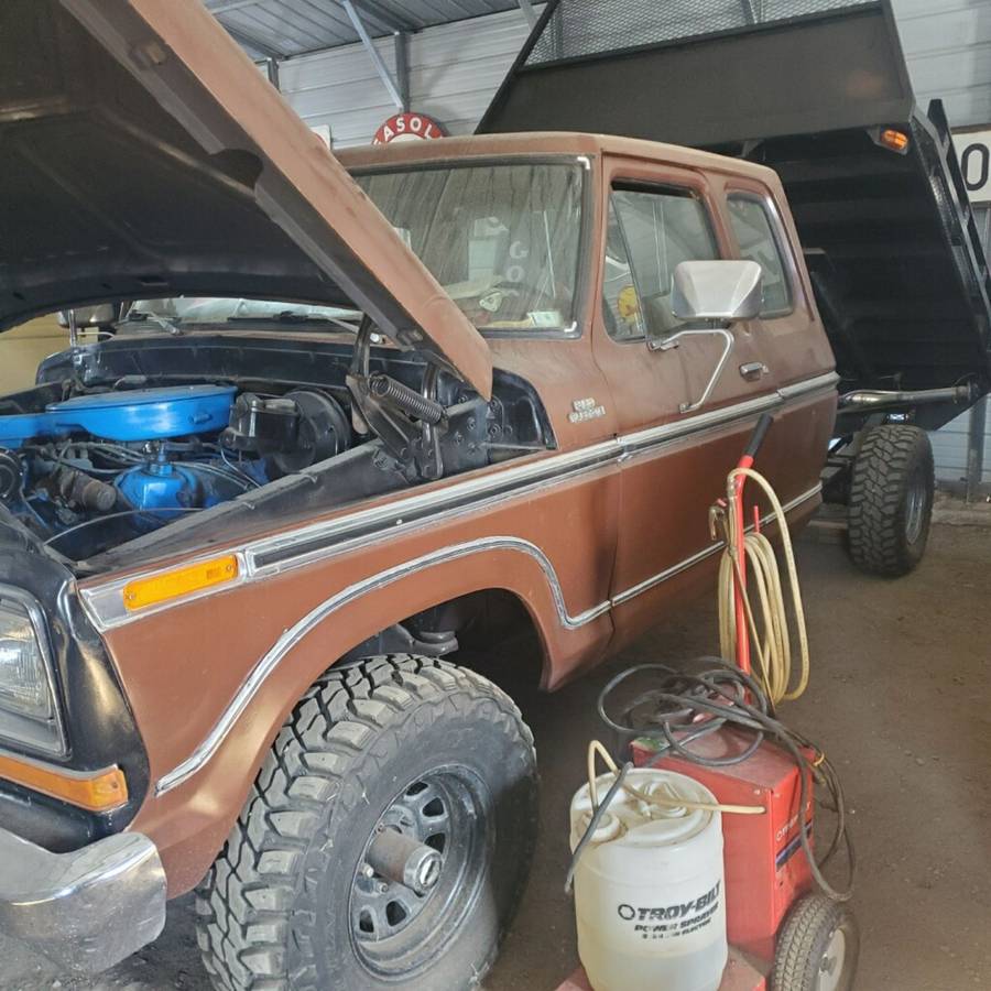 Ford-f-150-1979-brown-3