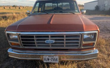 Ford-f-150-1984-brown-1