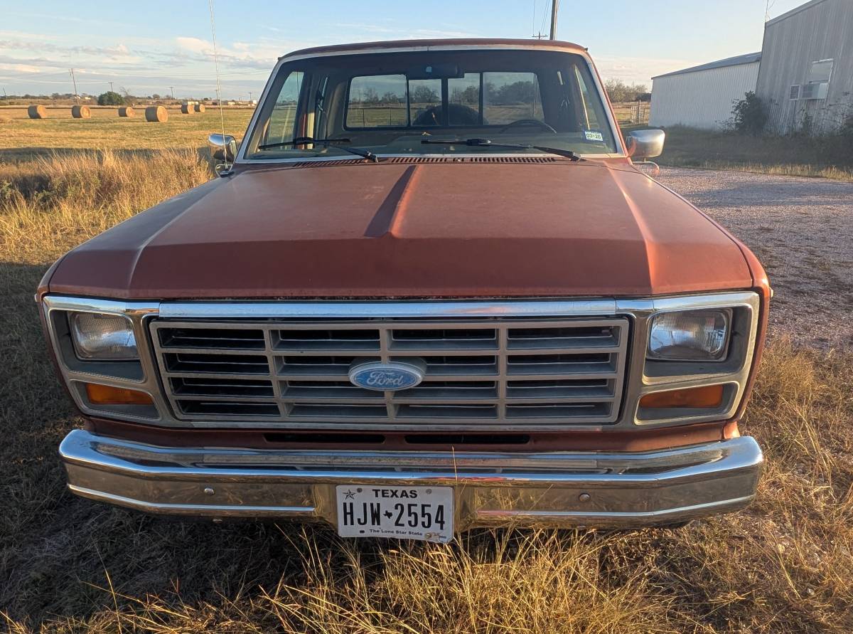 Ford-f-150-1984-brown-1