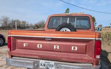 Ford-f-150-1984-brown-2