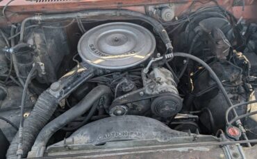 Ford-f-150-1984-brown-3