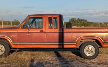 Ford-f-150-1984-brown