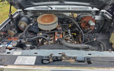 Ford-f-150-1984-silver-4