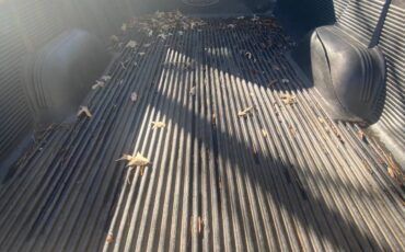 Ford-f-150-1985-blue-18